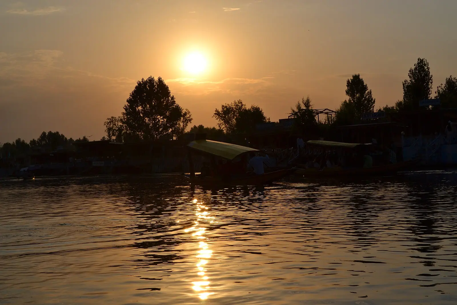 A shikara on the still water of Dal Lake, Srinagar — a classic honeymoon setting in Kashmir