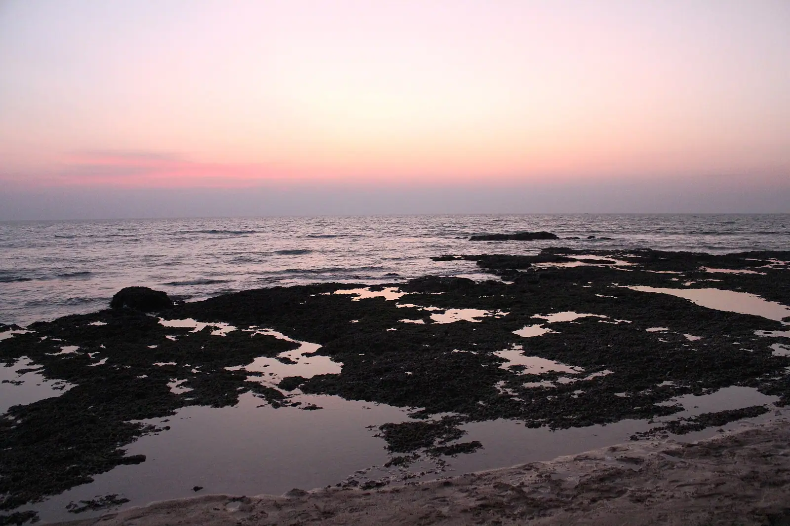 Rocky headland and palms at Anjuna beach in North Goa