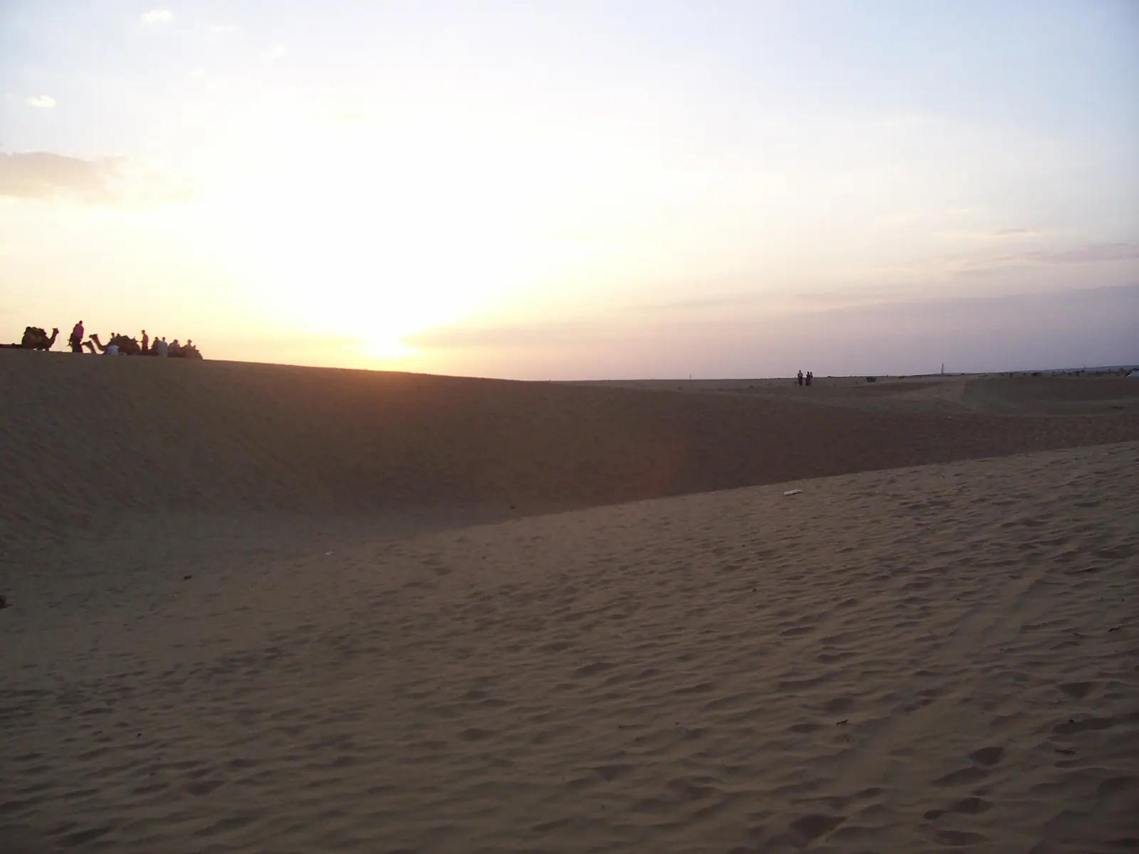 Camels crossing the Sam sand dunes of the Thar desert near Jaisalmer, Rajasthan