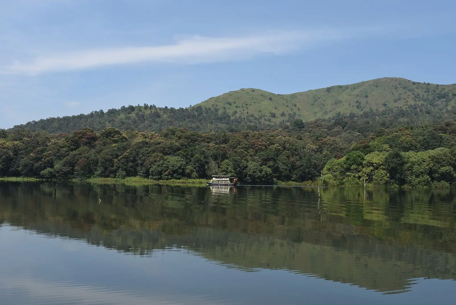 Drowned tree stumps standing in Periyar lake at Thekkady, Kerala