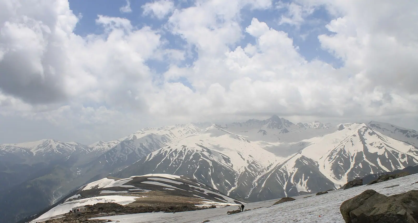 Green summer meadows and pine forest at Gulmarg in the Pir Panjal range, Kashmir