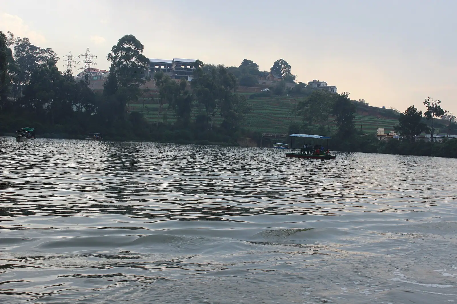 Rowing boats on Ooty lake in the Nilgiri hills, Tamil Nadu