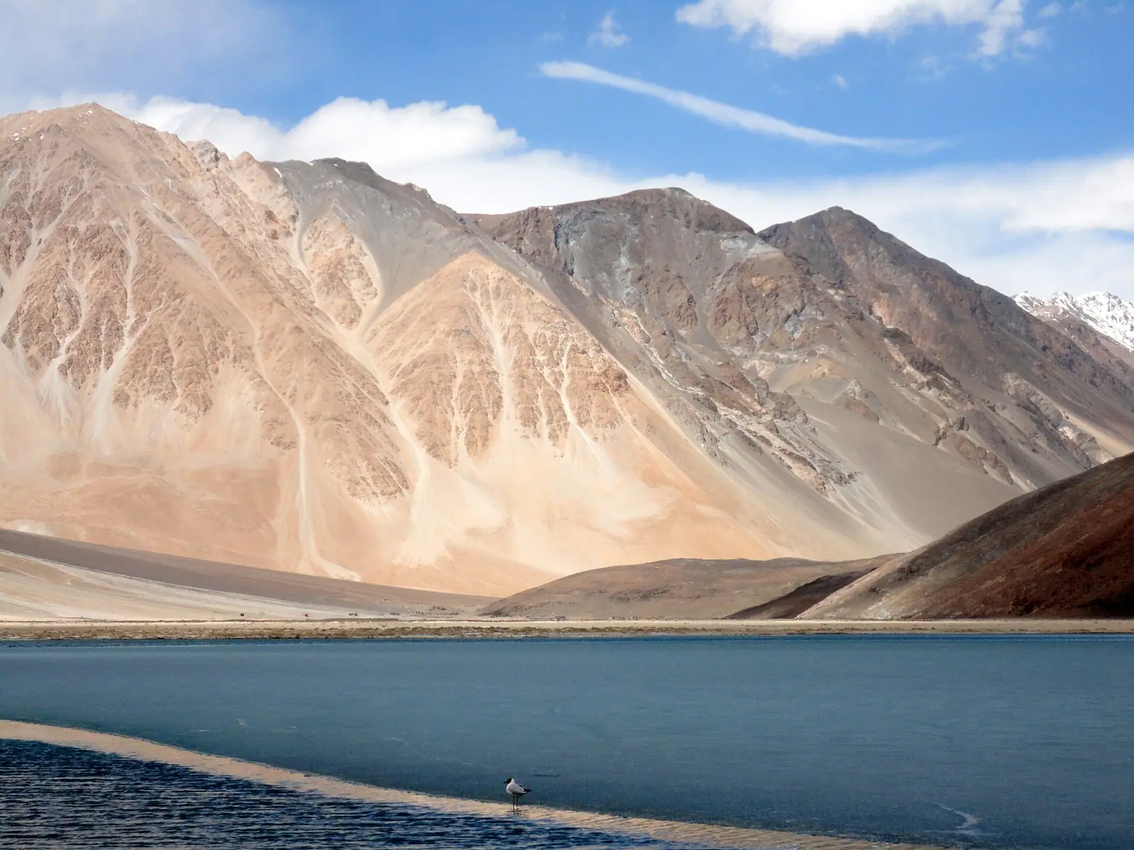 The stony shoreline of Pangong Tso stretching away between Ladakhi ridges