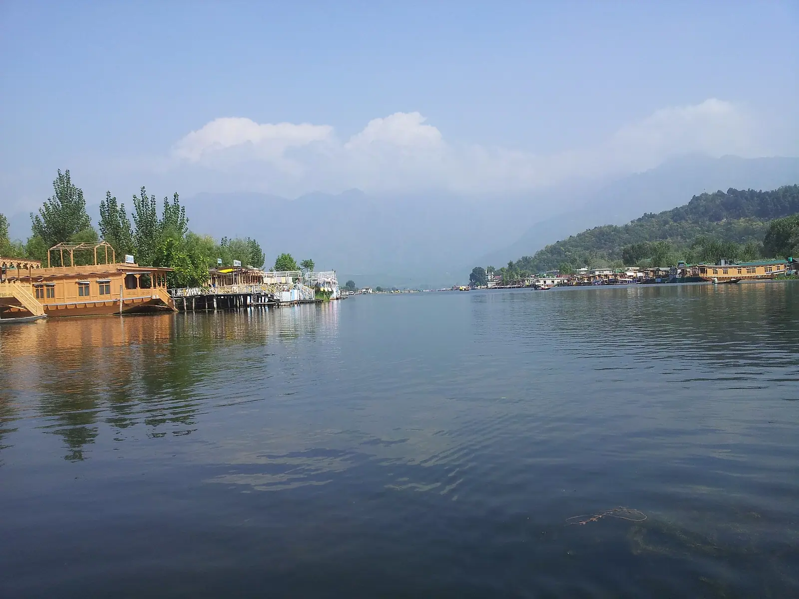 Carved wooden houseboats moored along the edge of Dal Lake in Srinagar, Kashmir